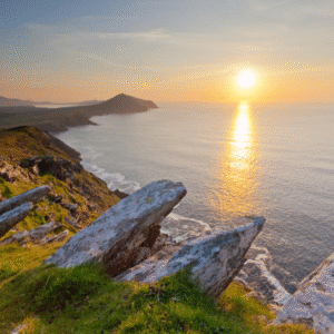 Untitled design (57)